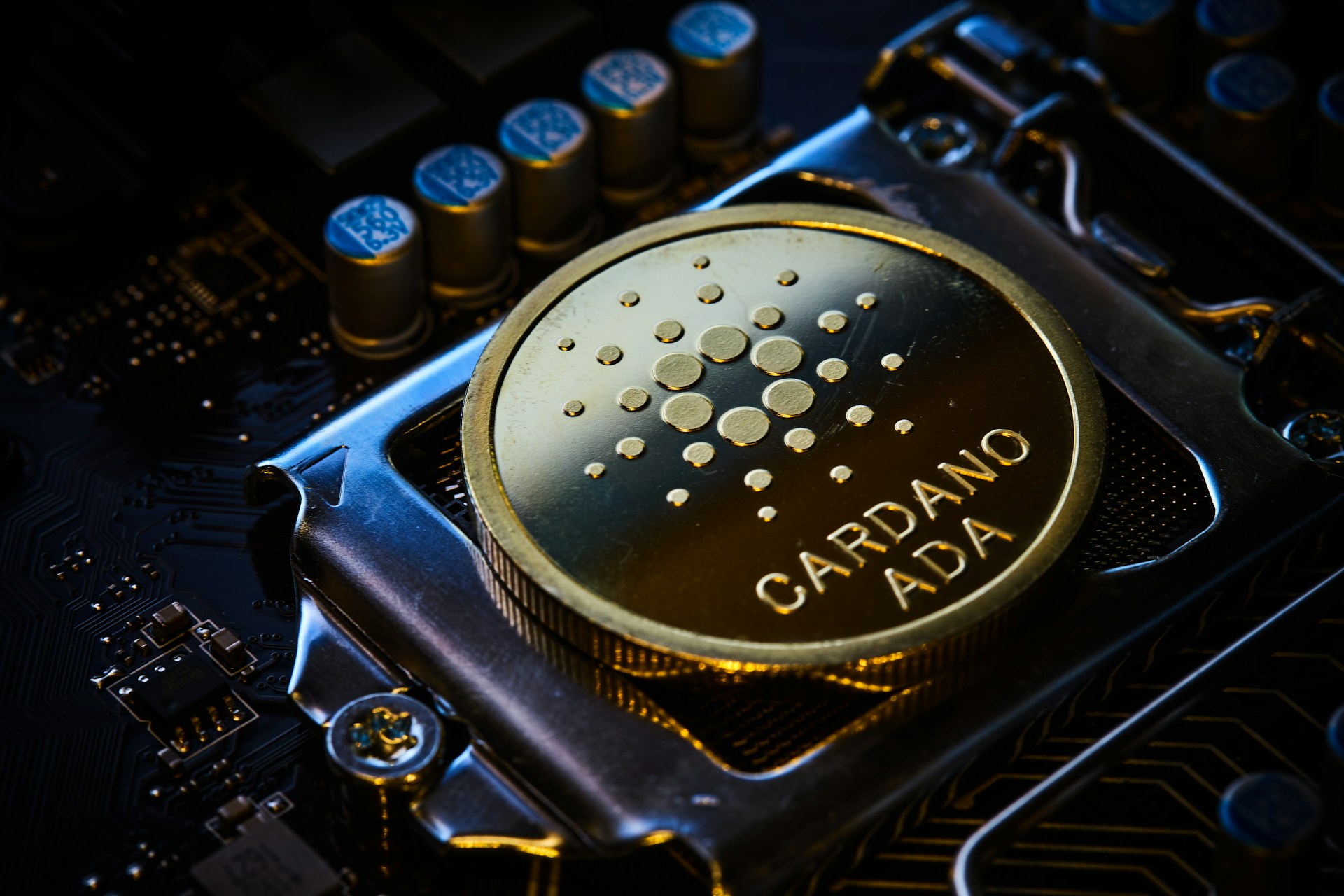 news banner image
