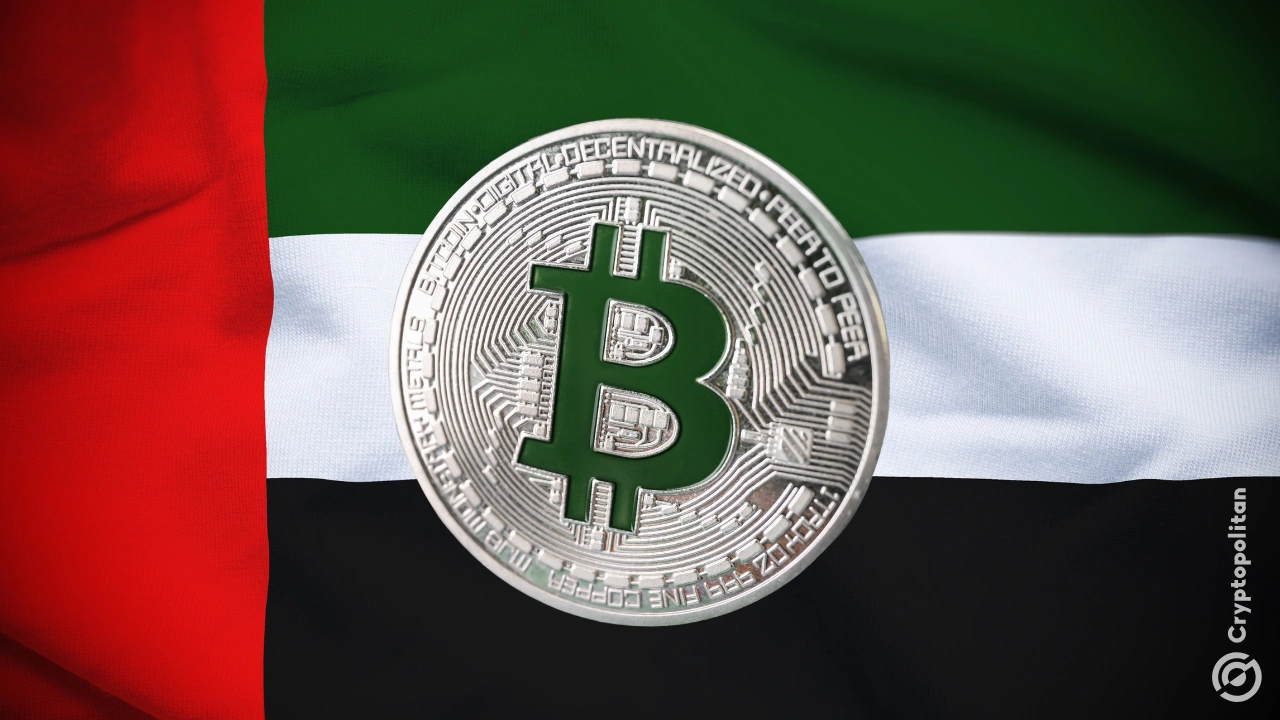 news banner image