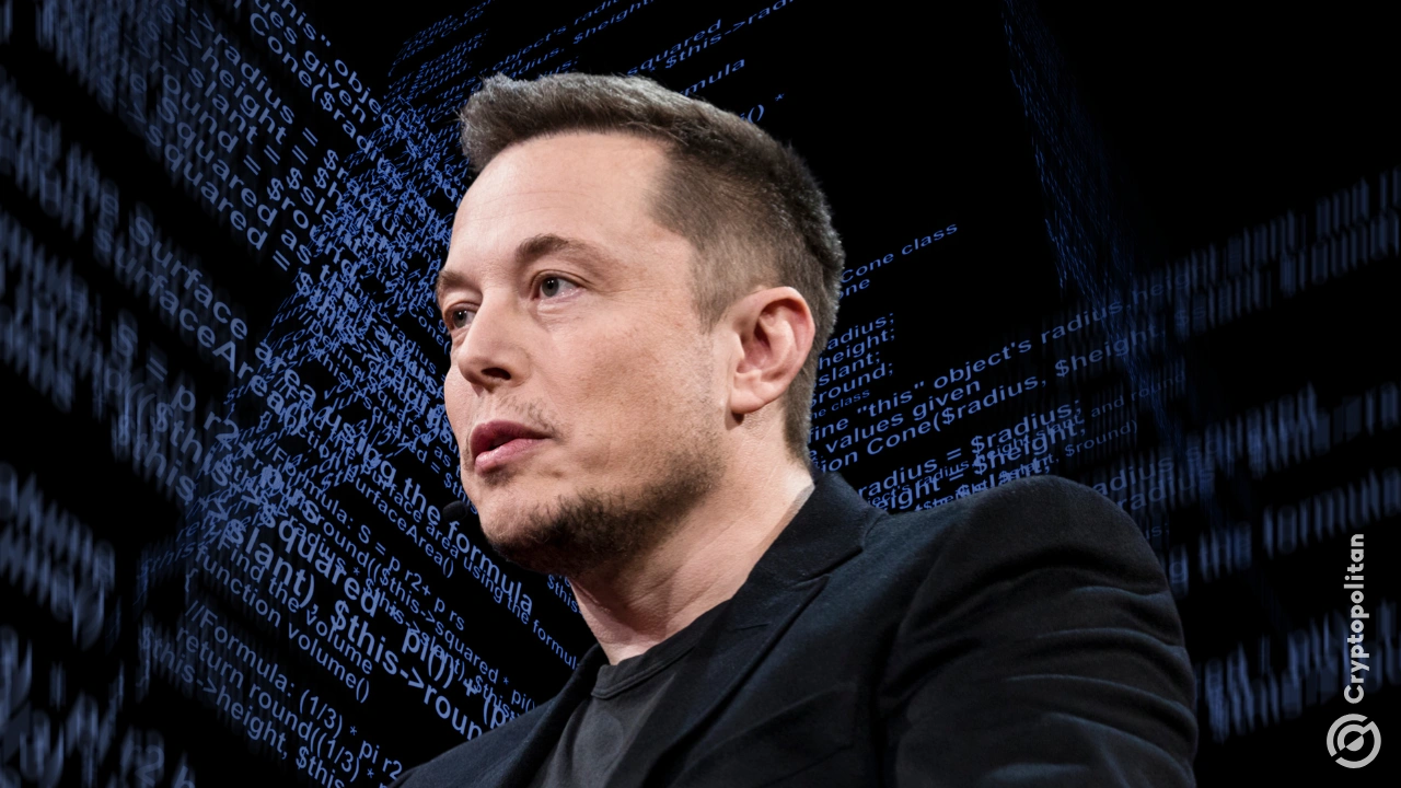 news banner image