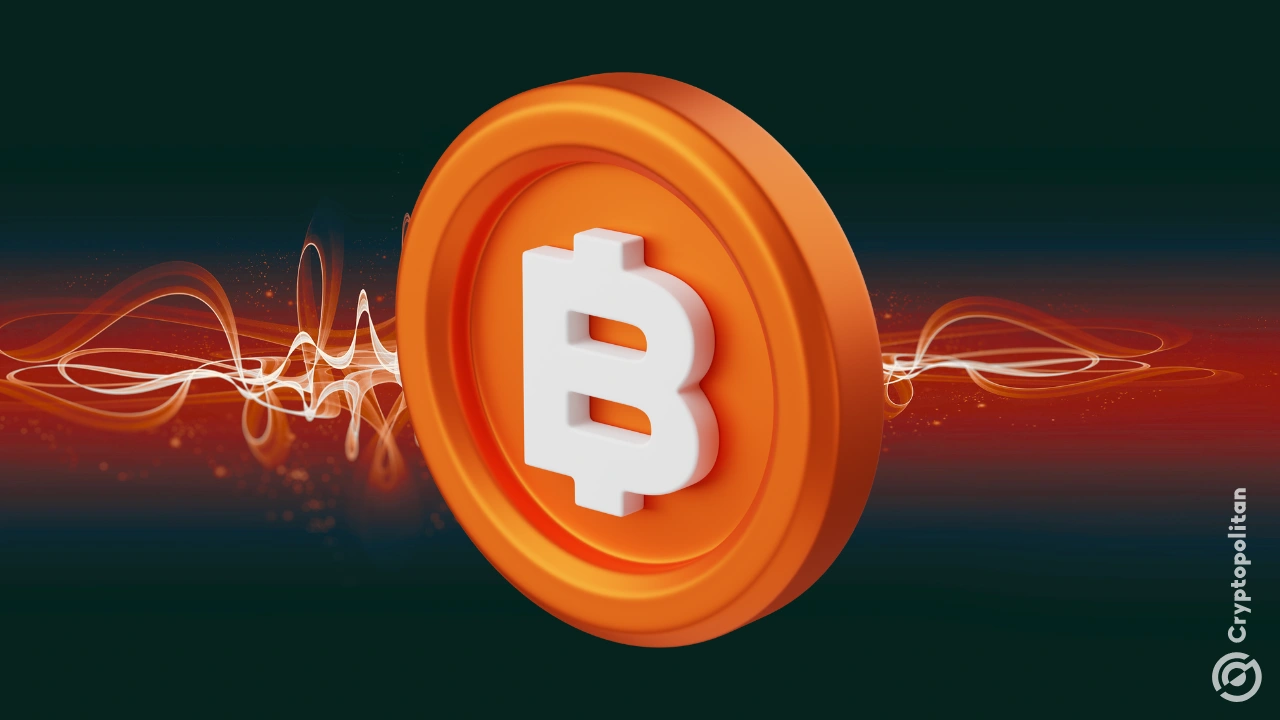 news banner image